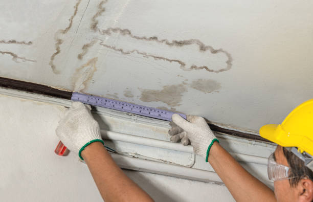 Reliable Water Damage contractor in Trumbull, CT by Water Damage Irwin